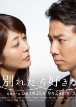 Wakaretara Suki na Hito Japanese Drama(2015) photo
