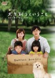 Inu wo Kau to Iu Koto japanese drama review