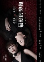 The Gift Hong Kong Movie(2020) photo