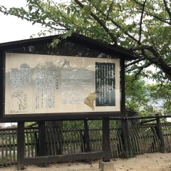 Yellow Dead Korean Movie photo