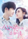 Don't Be Shy chinese drama review