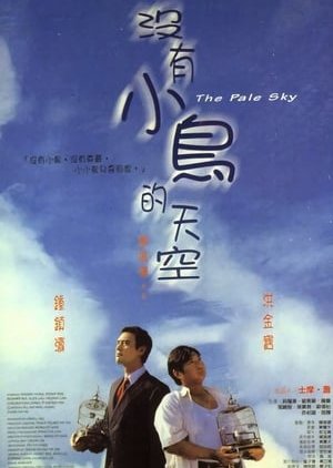 The Pale Sky (1998) poster