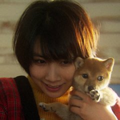 Petto ni do Hamari Shite, Kaisha Yamemashita Japanese Drama photo