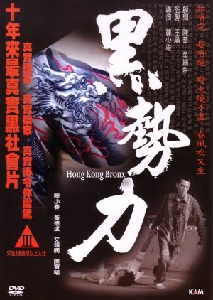 Hong Kong Bronx (2008) poster