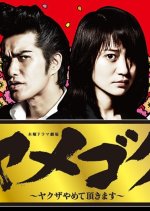 Yamegoku - Yakuza Yamete Itadakimasu Japanese Drama photo
