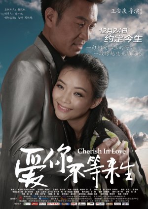 Cherish in Love (2014) poster