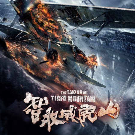 The Taking of Tiger Mountain (2014)