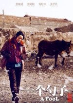 A Fool Chinese Movie photo