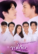 My Single Thai Drama photo