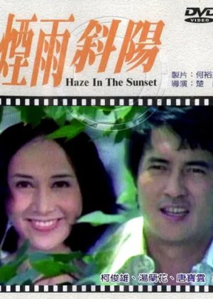 Haze in the Sunset (1973) poster