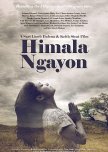 Himala ngayon