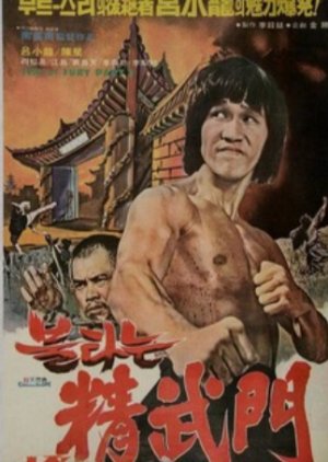 Bruce and Shaolin Kung Fu 2 (1978) poster