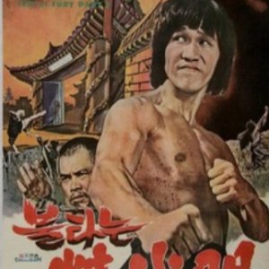 Bruce and Shaolin Kung Fu 2 (1978)