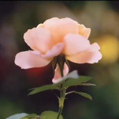 Keep Running Season 10 (2022) photo