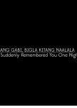 I Suddenly Remembered You One Night