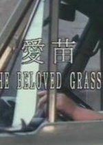The Beloved Grass Taiwanese Movie photo