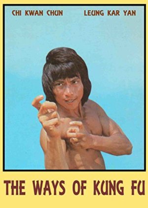 Ways of Kung Fu (1978) poster