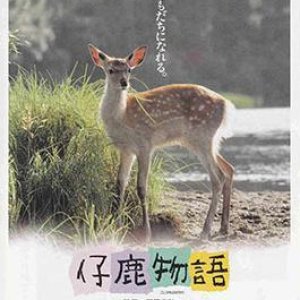 Deer Story (1991)