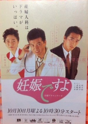 Ninshin Desuyo (1994) poster