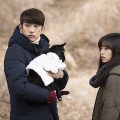 A Stray Goat Korean Movie photo
