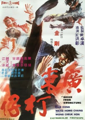 The Boxer from Kwongtung (1973) poster