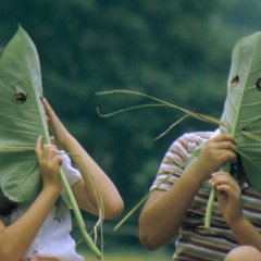 The Green, Green Grass of Home Taiwanese Movie photo