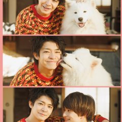 Suki Suki Wan Wan! Japanese Drama photo