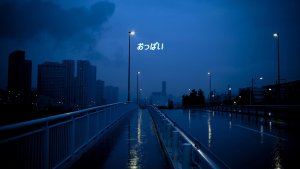 bai_haqi_