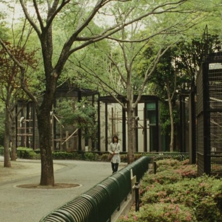Tokyo Oasis (2011)