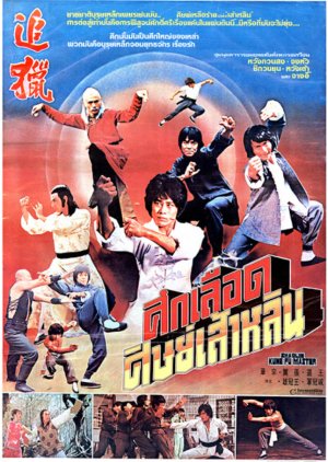 Shaolin Kung Fu Master (1978) poster
