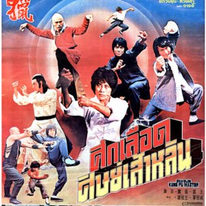 Shaolin Kung Fu Master (1978)