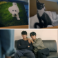 Choco & Milk- Jung Woo's two reincarnated cuties.