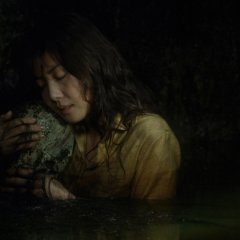 Ring Japanese Movie photo