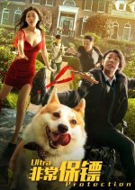 Ultra Protection Chinese Movie(2021) photo