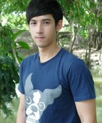 Plug Swedan Tasanon