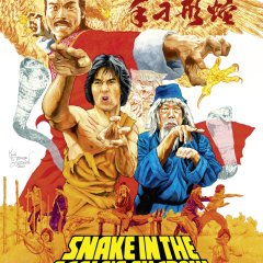 Snake in the Eagle's Shadow Hong Kong Movie photo