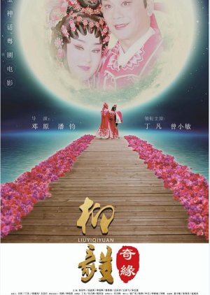A Miracle Story of Liu Yi (2018) poster