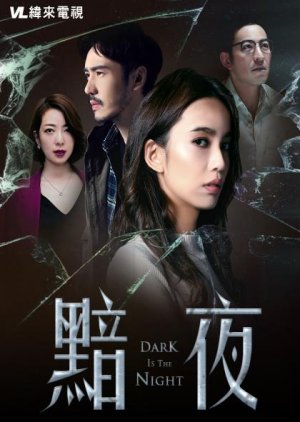 Dark Is the Night (2019) poster