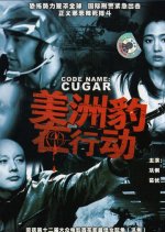 Operation Cougar Chinese Movie photo