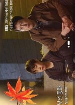 Drama Special Season 6: Strange Fairytale