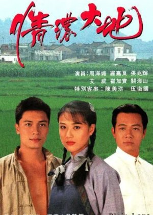 Plain Love (1995) poster