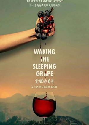 Waking the Sleeping Grape (2024) poster