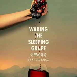 Waking the Sleeping Grape (2024)