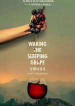 Waking the Sleeping Grape Chinese Movie photo
