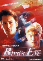 Bird's Eye Japanese Movie photo