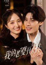 My Skillful Wife Chinese Drama photo