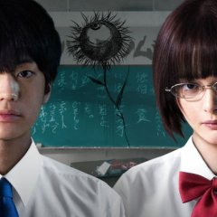 Anime Aku no Hana - Sinopse, Trailers, Curiosidades e muito mais - Cinema10