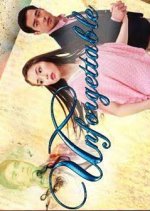 Unforgettable Philippines Drama(2013) photo