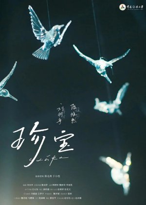 Zhen Bao (2024) poster