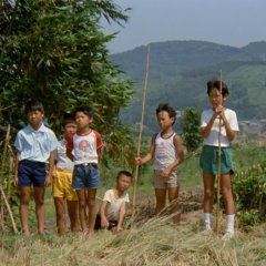 A Summer at Grandpa's Taiwanese Movie photo